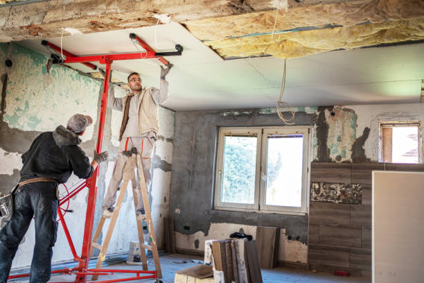 Best Soundproof Insulation Installation  in Howell, MI