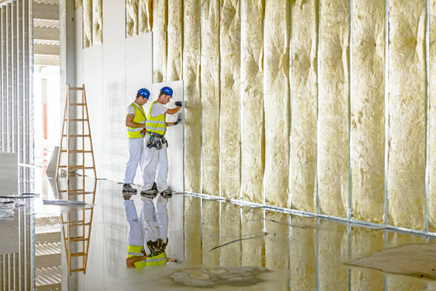 Best Fiberglass Insulation  in Howell, MI